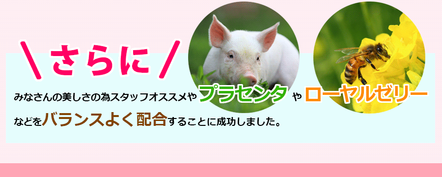 イメージ06