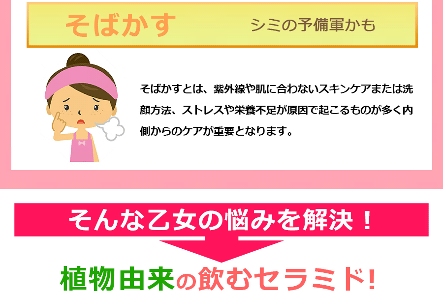 イメージ11