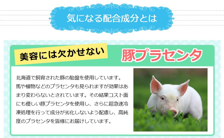 イメージ12