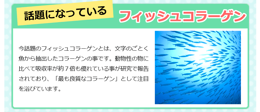 イメージ13