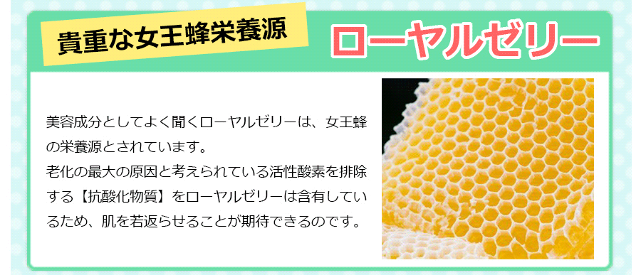 イメージ14