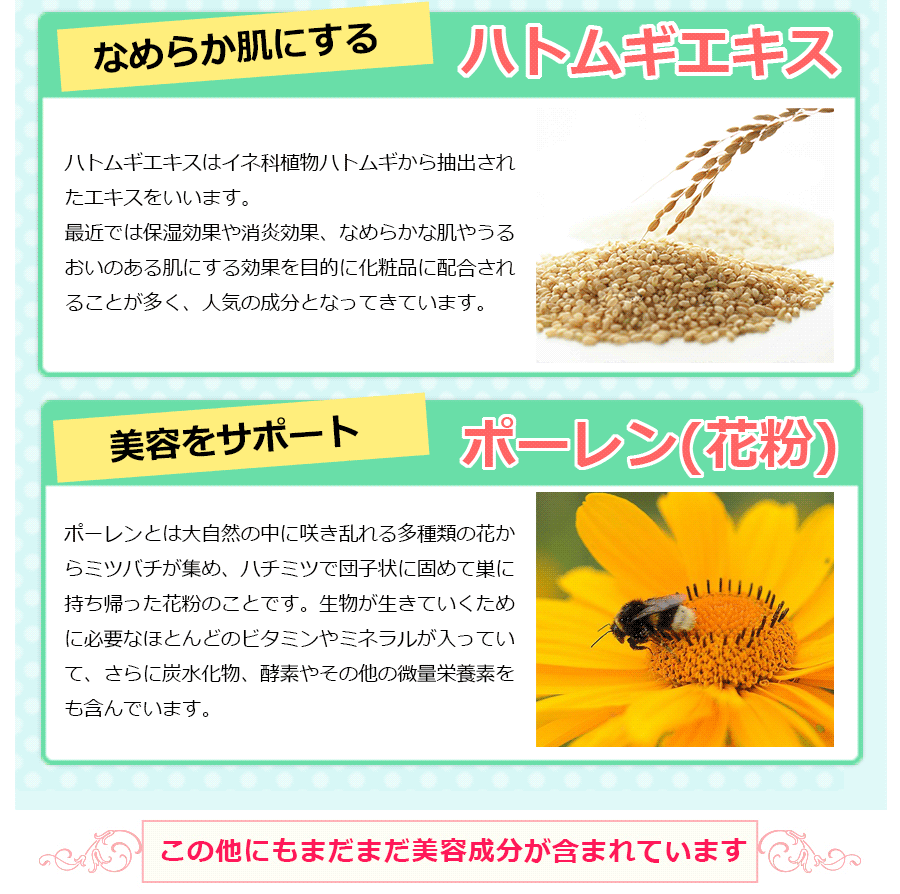 イメージ15