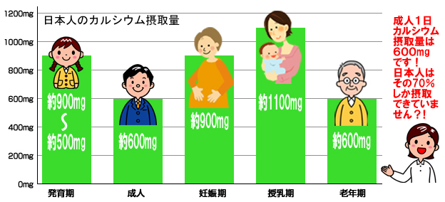 カルシウム摂取量