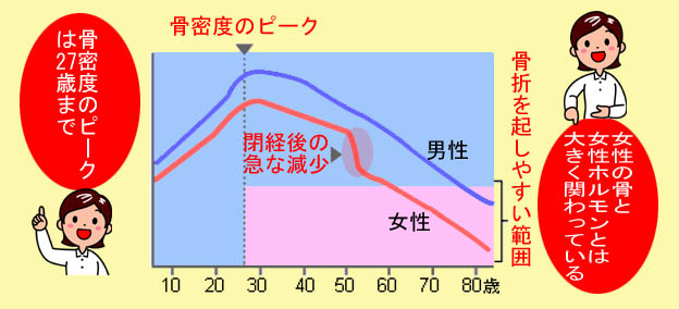 骨密度のピーク