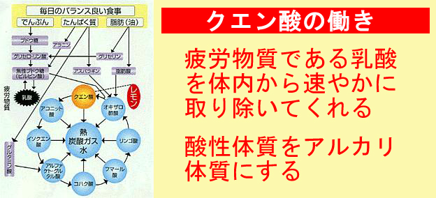 クエン酸について 吉田整骨院健康直送便